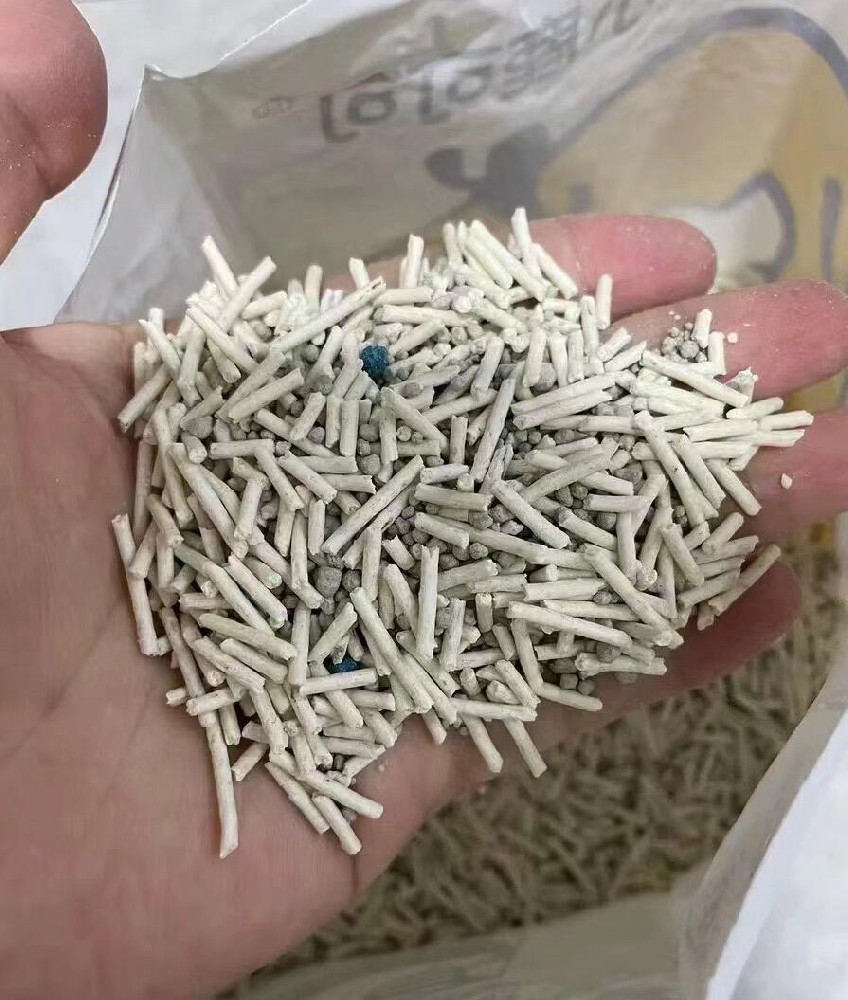 2026除臭豆腐猫砂推荐:精选8款实力派